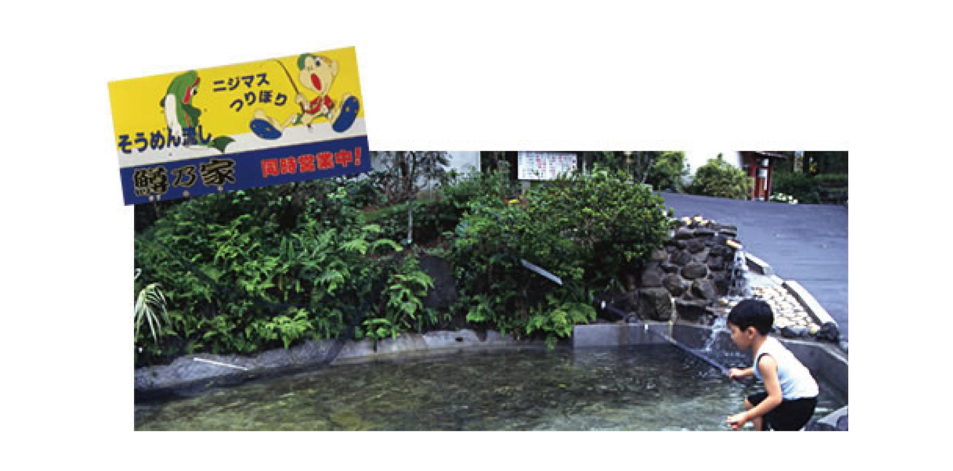 鱒釣り堀